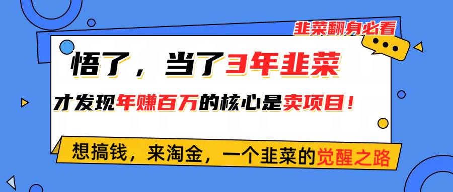 悟了，当了3年韭菜，才发现网赚圈年赚100万的核心是卖项目，含泪分享！KK创富圈-网创项目资源站-副业项目-创业项目-搞钱项目KK创富圈