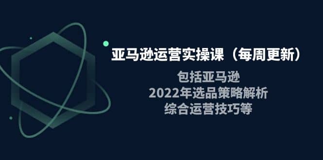 亚马逊运营实操课（每周更新）包括亚马逊2022选品策略解析，综合运营技巧等KK创富圈-网创项目资源站-副业项目-创业项目-搞钱项目KK创富圈