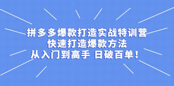 拼多多爆款打造实战特训营：快速打造爆款方法，从入门到高手 日破百单KK创富圈-网创项目资源站-副业项目-创业项目-搞钱项目KK创富圈