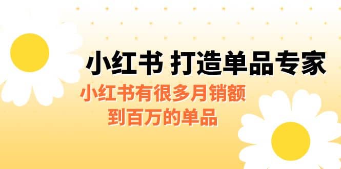 某公众号付费文章《小红书 打造单品专家》小红书有很多月销额到百万的单品KK创富圈-网创项目资源站-副业项目-创业项目-搞钱项目KK创富圈