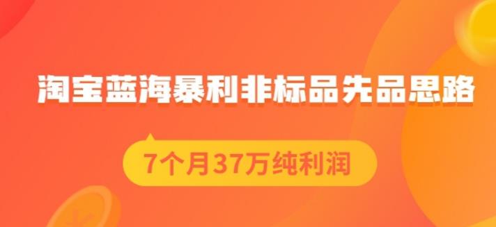 盗坤淘宝蓝海暴利非标品先品思路，7个月37万纯利润，压箱干货分享！【付费文章】KK创富圈-网创项目资源站-副业项目-创业项目-搞钱项目KK创富圈