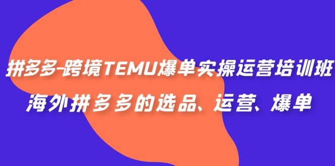 拼多多-跨境TEMU爆单实操运营培训班，海外拼多多的选品、运营、爆单KK创富圈-网创项目资源站-副业项目-创业项目-搞钱项目KK创富圈