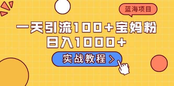 一天引流100+宝妈粉，日入1000+的蓝海项目（实战教程）KK创富圈-网创项目资源站-副业项目-创业项目-搞钱项目KK创富圈