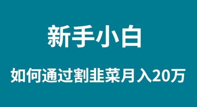 新手小白如何通过割韭菜月入 20WKK创富圈-网创项目资源站-副业项目-创业项目-搞钱项目KK创富圈