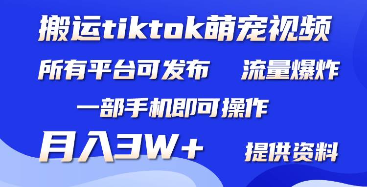 搬运Tiktok萌宠类视频，一部手机即可。所有短视频平台均可操作，月入3W+KK创富圈-网创项目资源站-副业项目-创业项目-搞钱项目KK创富圈