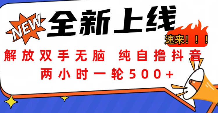 解放双手无脑 纯自撸抖音 两小时一轮500+KK创富圈-网创项目资源站-副业项目-创业项目-搞钱项目KK创富圈