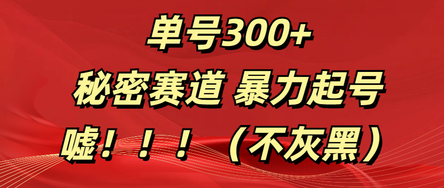 单号300+  秘密赛道 暴力起号  （不灰黑）KK创富圈-网创项目资源站-副业项目-创业项目-搞钱项目KK创富圈