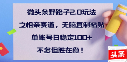 全网首发微头条野路子2.0玩法之相亲赛道，无脑搬砖复制粘贴，单账号日稳定300+保姆级教程KK创富圈-网创项目资源站-副业项目-创业项目-搞钱项目KK创富圈