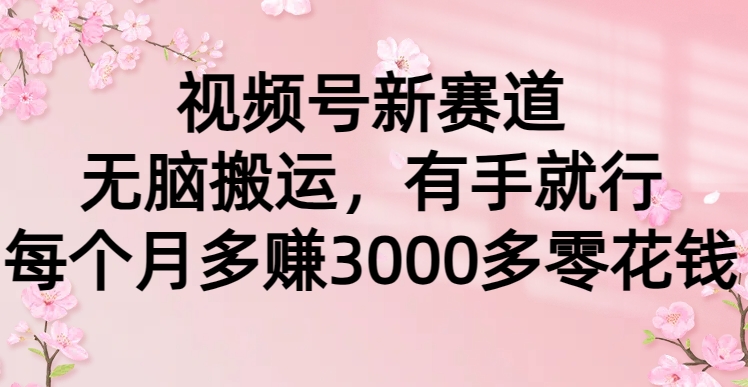 视频号新赛道，无脑搬运，有手就行，每个月多赚3000多零花钱KK创富圈-网创项目资源站-副业项目-创业项目-搞钱项目KK创富圈